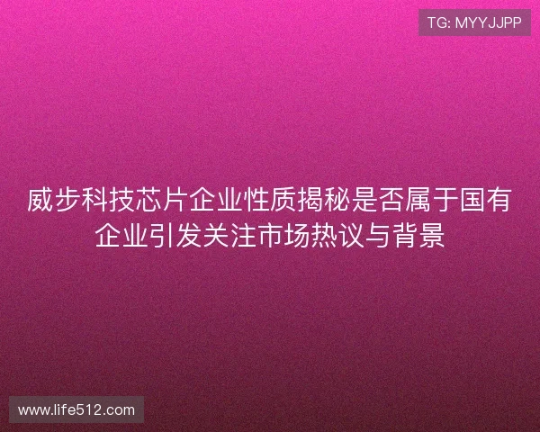 威步科技芯片企业性质揭秘是否属于国有企业引发关注市场热议与背景